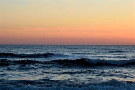 Sunrise Over The Oceans Free Stock Photo - Public Domain Pictures