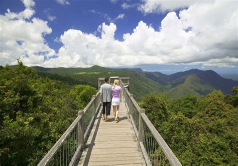 Dorrigo NSW – Find Accommodation, Rainforest Walks & Events