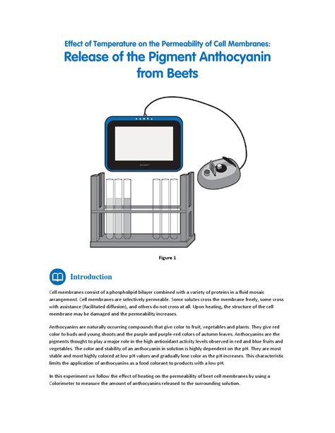 Effect of Temperature on the Permeability of Cell Membranes by Fourier Education - Issuu