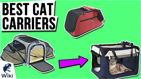 Top 10 Cat Carriers of 2021 | Video Review