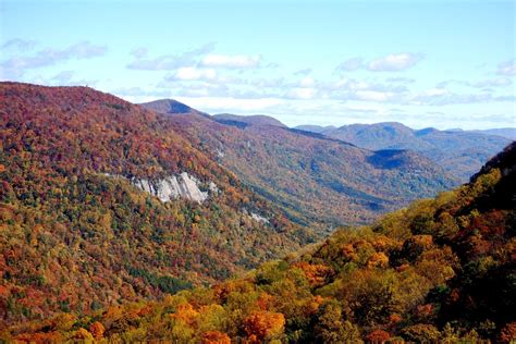 South Carolina Fall Foliage Map 2024 - Gayle Johnath