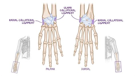 Hand of Benediction: What Is It, Causes, and More | Osmosis