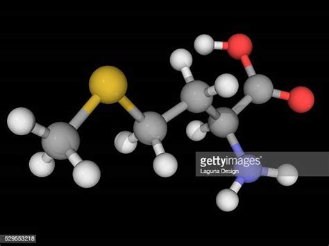 Methionine Structure Photos and Premium High Res Pictures - Getty Images