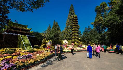 Hangzhou Botanical Garden Travel: Review, Entrance Tickets, Travel Tips ...