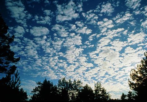 Cirrocumulus Clouds Forming A Mackerel Sky Photograph by Pekka Parviainen/science Photo Library ...