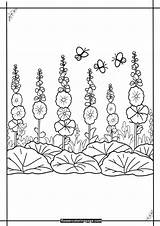 Printable Hollyhock Coloring Pages Free PDF  Flower Page sketch template