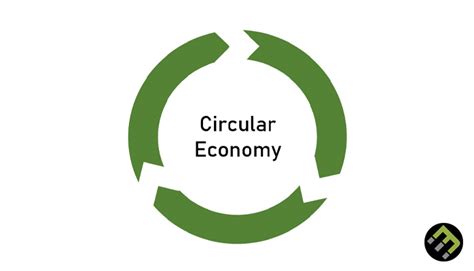 Circular Economy: What Is It, Why Do We It and Trends - EcoMatcher