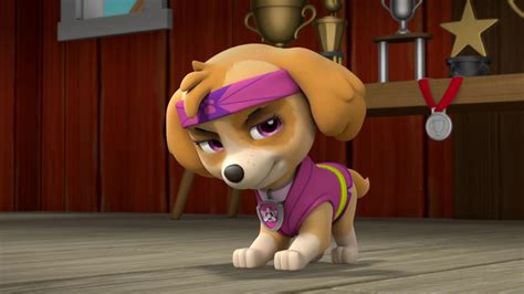 Skye , the Cockapoo - Skye - PAW Patrol Photo (40719631) - Fanpop - Page 41