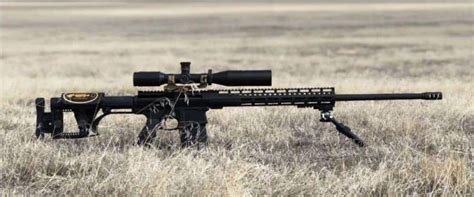 15 Best 6.5 Creedmoor Rifles for Long Range Shooting & Hunting