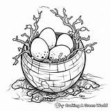 Cracked Egg Coloring Pages  Free & Printable sketch template