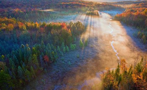 Sunshine in Green Mountain National Forest, Vermont Photo | One Big Photo