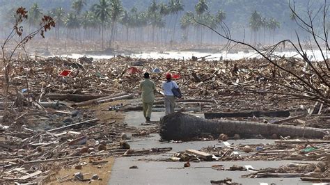 Tsunami 2004 : ils ont survécu à la catastrophe