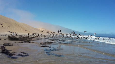 Private Namibia Safari Tours | Private Tours of Namibia | Namibia Safari