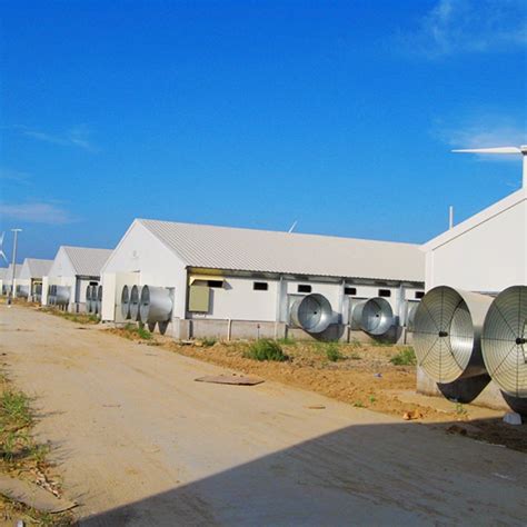 China Prefab Chicken Farm Construction in Poultry House with Modern ...