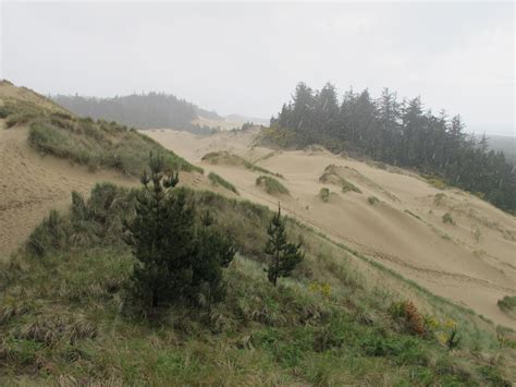 Oregon Dunes Overlook Day Use Area - Oregon Coast