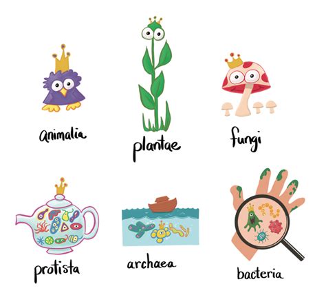 Biology Basics: Kingdoms — Jolie Canoli