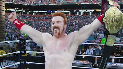 WORLD WRESTLING ENTERTAINMENT: Sheamus World Heavy Weight Champion