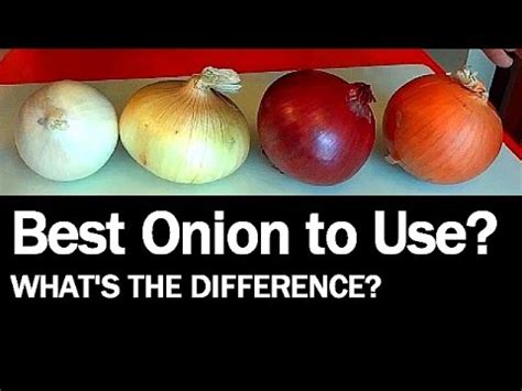 white onion vs yellow onion