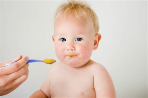 The Ultimate Baby Food Allergies Survival Guide - Precious Little Sleep