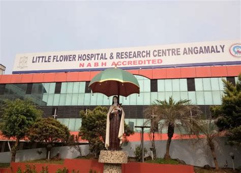 Little Flower Eye Hospital Angamaly Doctors List | Best Flower Site