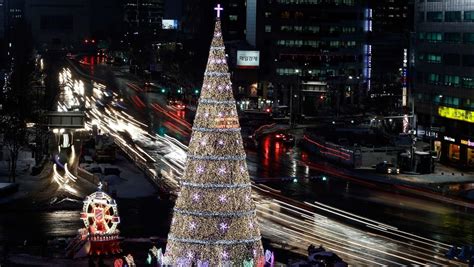 Christmas trees around the world