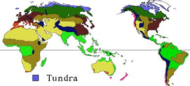 Geography: Tundra