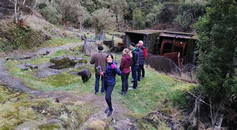 Paparoa Track Famil | Cycle Journeys - Behind the Scenes