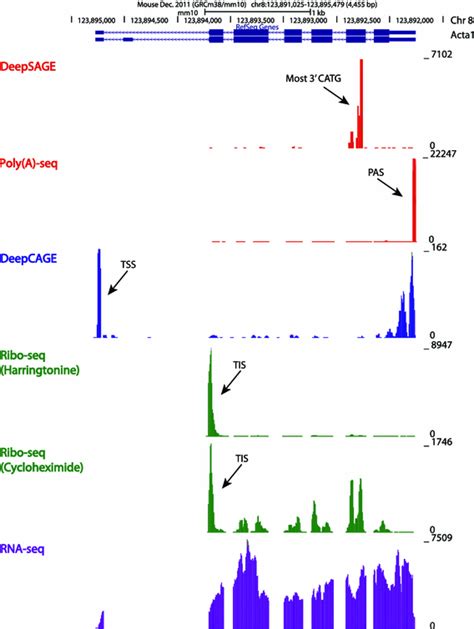 RNA Sequencing Methods | RNA-Seq Blog