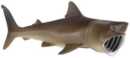 Basking Shark Toy Replica from Animal World® at Anwo.com