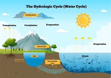 Hydrologic cycle — lesson. Social Science, Class 8.