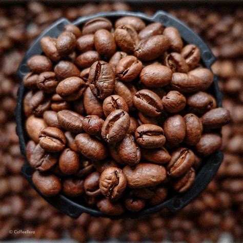 Peaberry Coffee Beans from Mt. Apo for Sale by Coffeellera