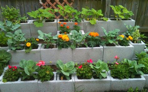 15 Creative Cinder Block Raised Garden Beds | Cinder block garden, Diy raised garden, Front yard ...