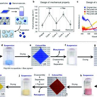 Structural characterization of tough poly-MA-microparticle films. (a)... | Download Scientific ...