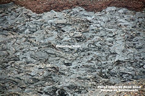 The Volcanoes of the Galapagos Islands | VolcanoCafe