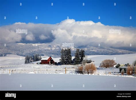 Palouse hills winter scenic Idaho Stock Photo - Alamy