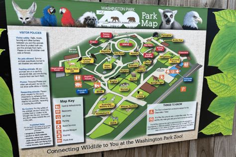 Complete Guide to Washington Park Beach & Zoo [Indiana] - Jettsetters Travel