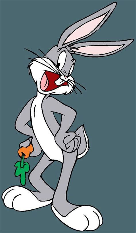 Classic Looney Tunes Cartoon Character Picture