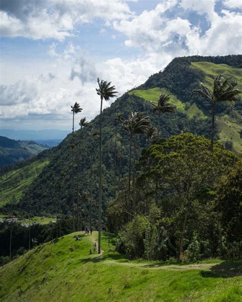 Hiking Cocora Valley, Colombia: Tips + FAQs Answered - LivingOutLau