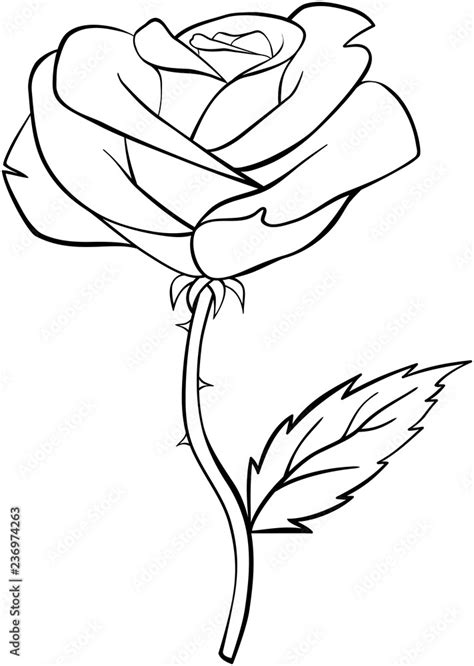 Rose Flower Outline Black And White | Best Flower Site