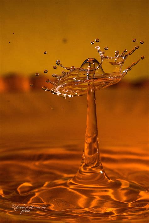 Pin by Росица Валентинова Мечкуевска on the memory of water | High speed photography, Macro ...