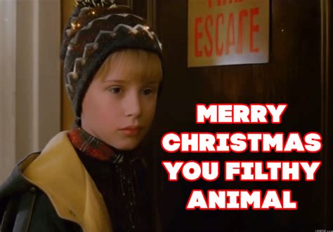 Merry Christmas You Filthy Animal GIFs | USAGIF.com