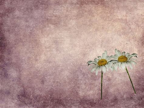 10 Free Grungy Little Flower Textures Plus Photoshop Brushes | ibjennyjenny photography and free ...