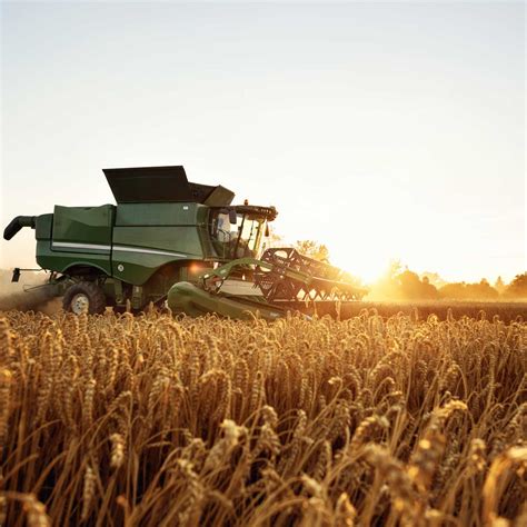 Agriculture innovation: how technology is affecting the feed and grain industries - Sikich LLP