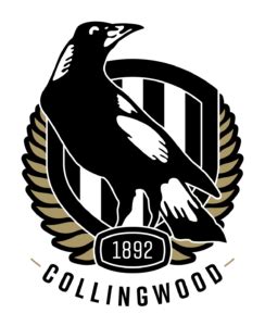 Collingwood Football Club Team Colors | HEX, RGB, CMYK, PANTONE COLOR CODES OF SPORTS TEAMS