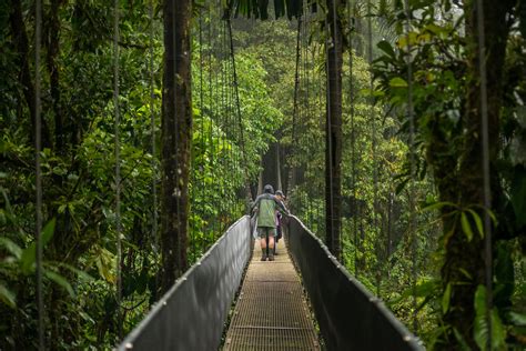 Arenal Hanging Bridges - My Vacation Abode