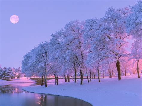 Pink Snow Wallpapers - Top Free Pink Snow Backgrounds - WallpaperAccess