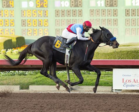 Thoroughbred season begins at Los Alamitos Race Course