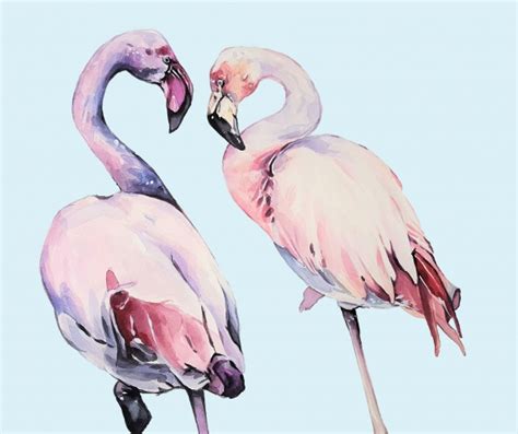 Flamingo Watercolor Painting Free Stock Photo - Public Domain Pictures