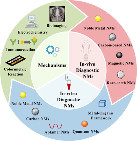 NMs in early diagnosis of cancer for the in vitro and the in vivo... | Download Scientific Diagram