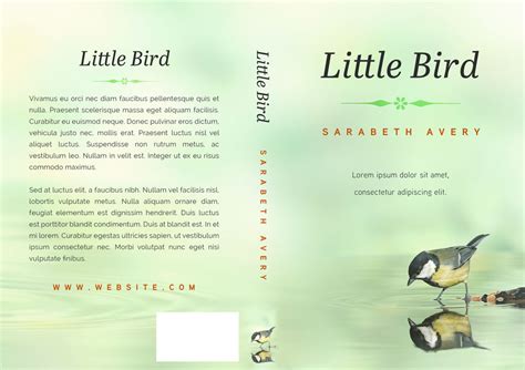 Little Bird - Fiction Book Cover For Sale